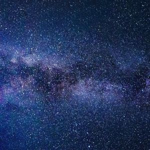 Meet your Posher, Tenley